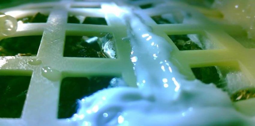 نمو بذور على سطح القمر