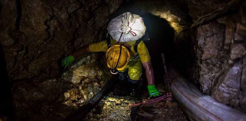 فطريات أسترالية تستكشف مناجم الذهب