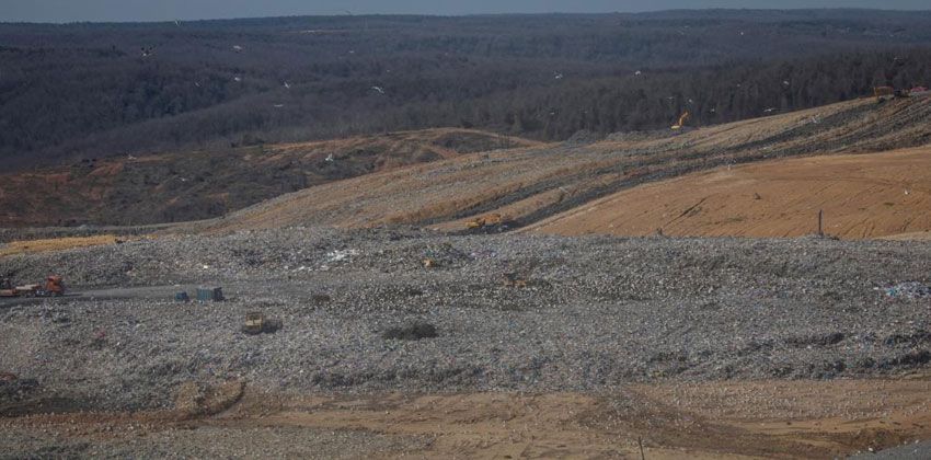 النفايات العضوية.. من نقمة إلى نعمة