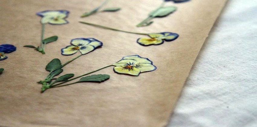 إعادة تدوير الزهور