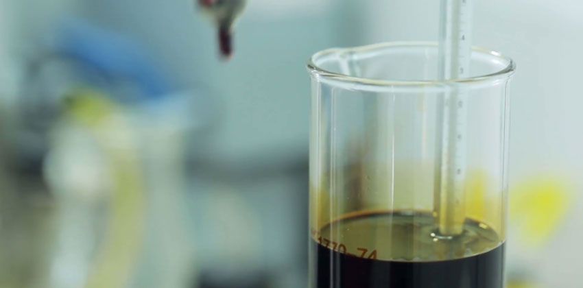 طالبتان من جامعة الشارقة تحولان بذور الحنظل إلى وقود حيوي