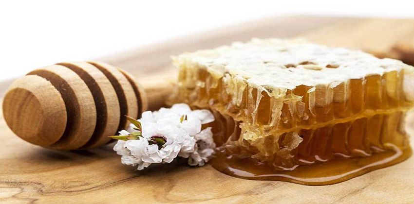 عسل المانوكا الخارق