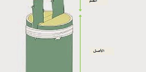تطعيم الأشجار المثمرة