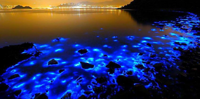 ظاهرة الدموع الزرقاء