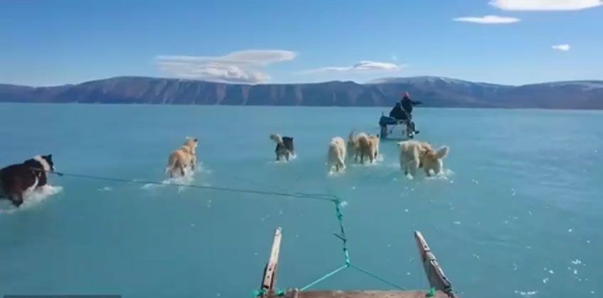 فيديو من غرينلاند يثير قلقا عالميا واسعا