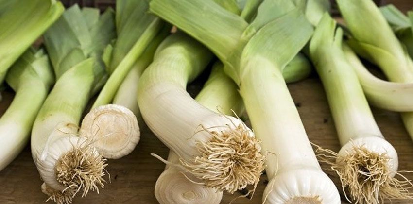 الكبريت… عنصر مغذي للنباتات والتربة