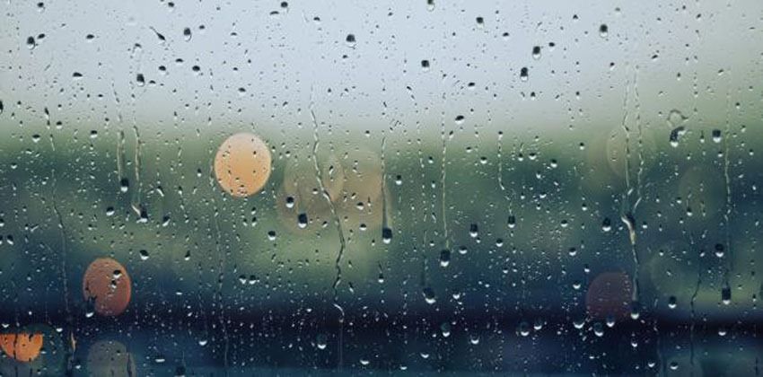 فوائد المطر للكائنات الحية