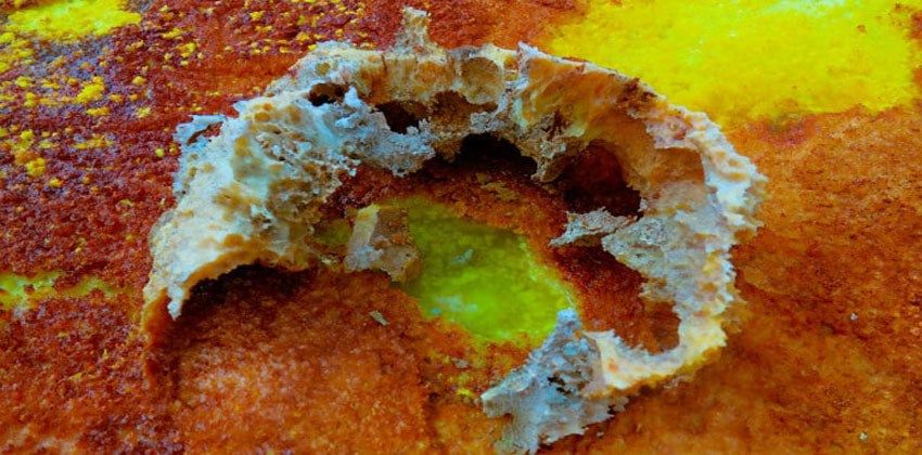 زيادة تحمض المحيطات