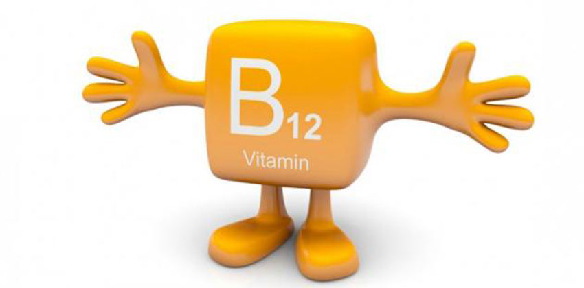 فيتامين ب12