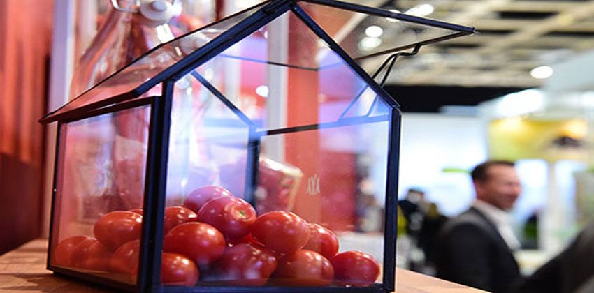 دفيئات زراعية متطورة