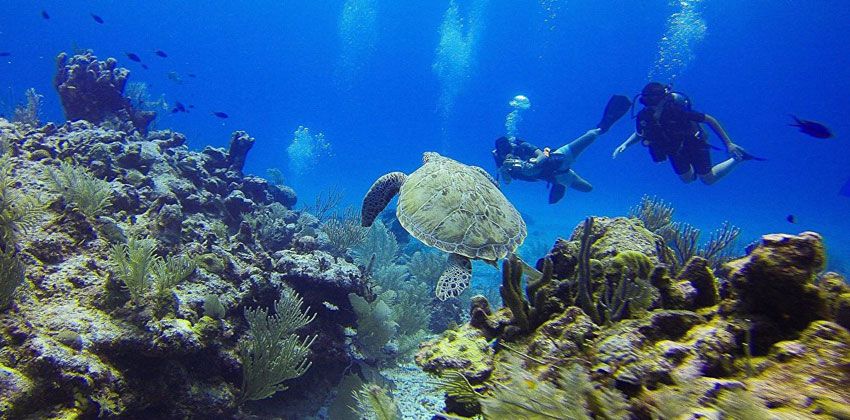 محطة ألمانية علمية من قاع البحر