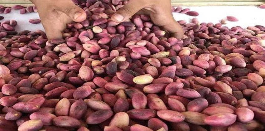 أدوية من قشرة الفستق