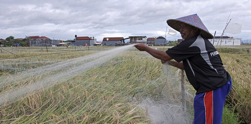 صلاحية المياه المالحة في الزراعة