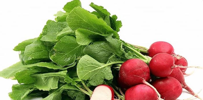 الفجل.. (raddish)