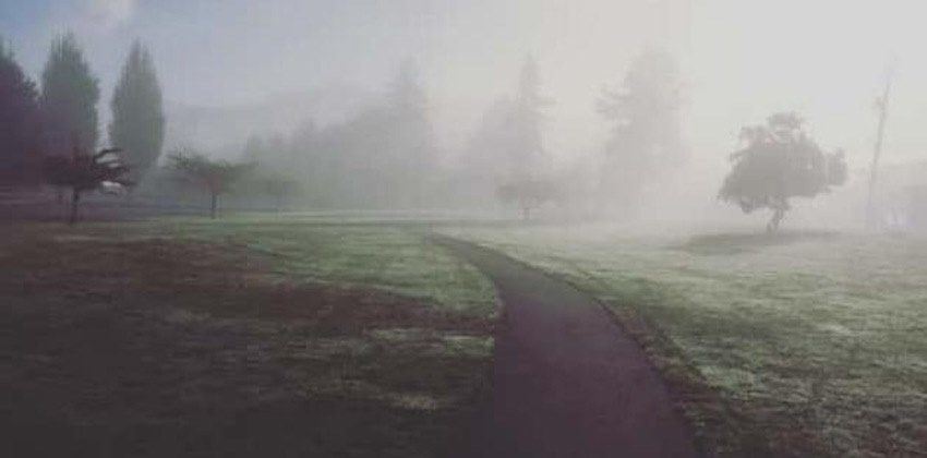 ما هو الضباب