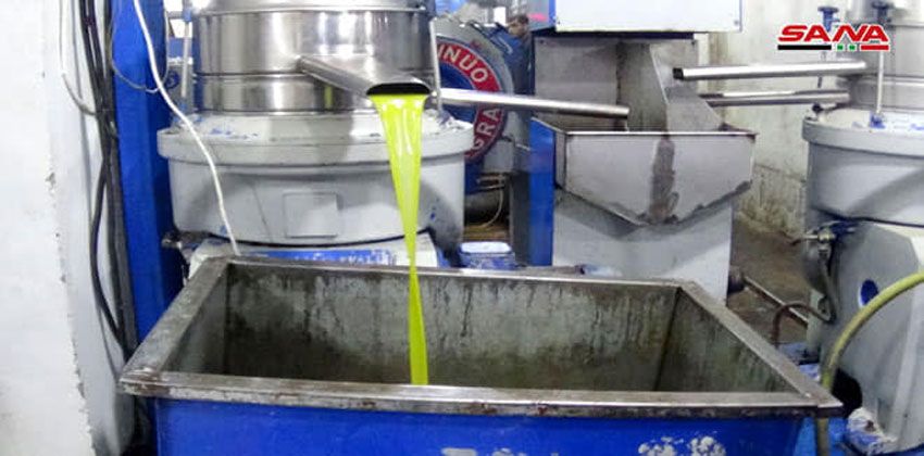 معاصر الزيتون في حمص