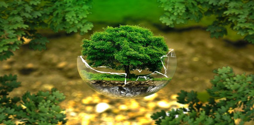 مبادرات الحفاظ على النظم البيئية