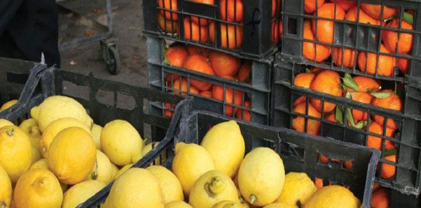 موسم الحمضيات