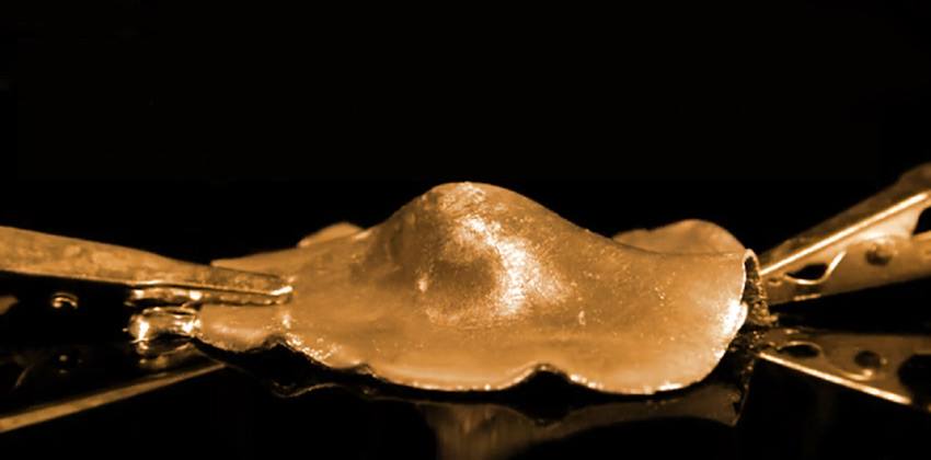 مادة ذكية لإنتاج الأنسجة العضلية