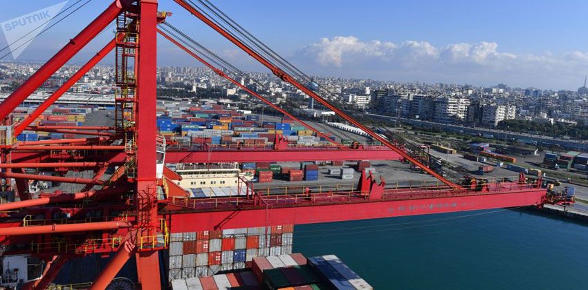 الحمضيات في الساحل السوري