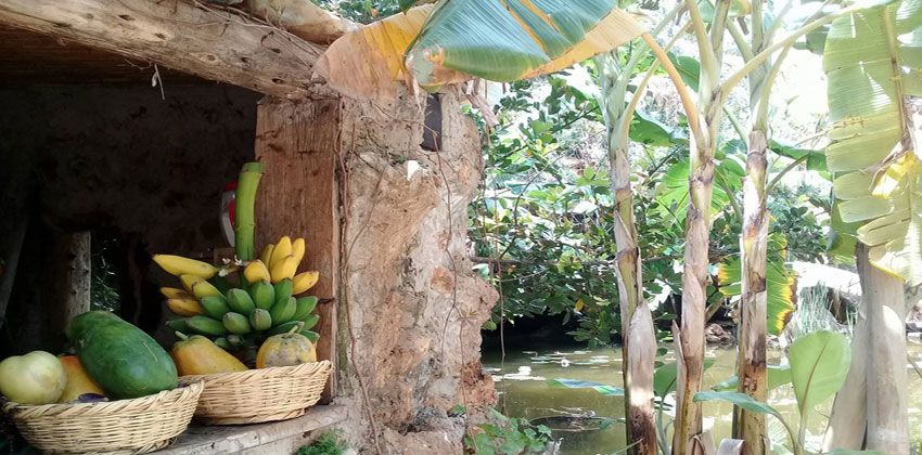 المغارة الاستوائية