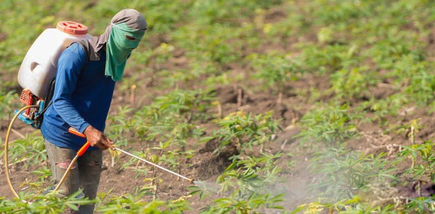 التراكم الحيوي