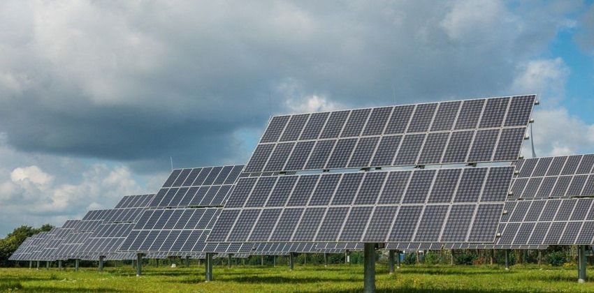 خلايا شمسية من البروتين