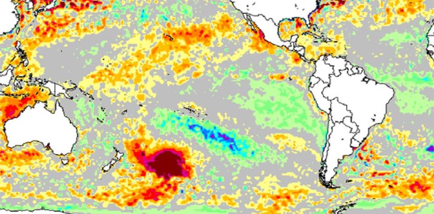 بقع حمراء في المحيط الهادي