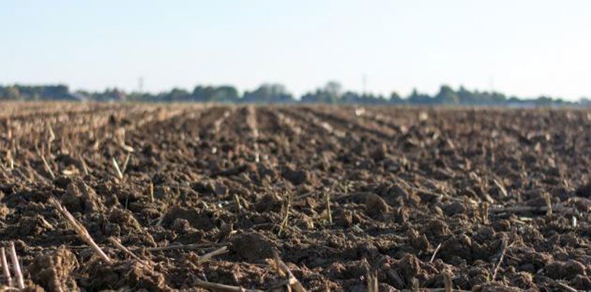 ملوحة التربة