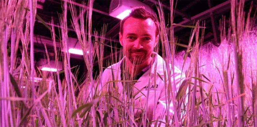 تقنية الإنتاج السريعة للمحاصيل لمكافحة الجوع بالعالم