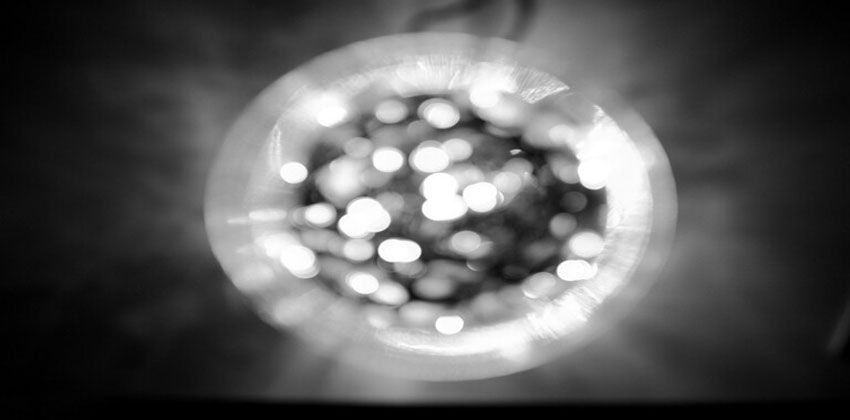 أقدم جنين حيواني