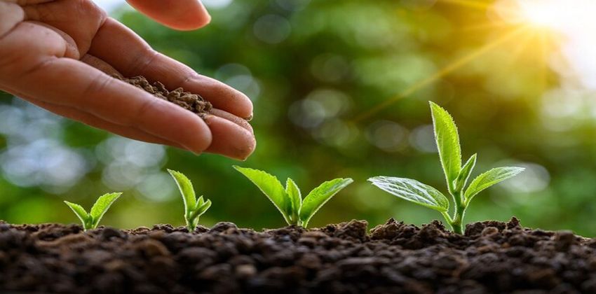 تحوّل الجثث البشرية إلى سماد