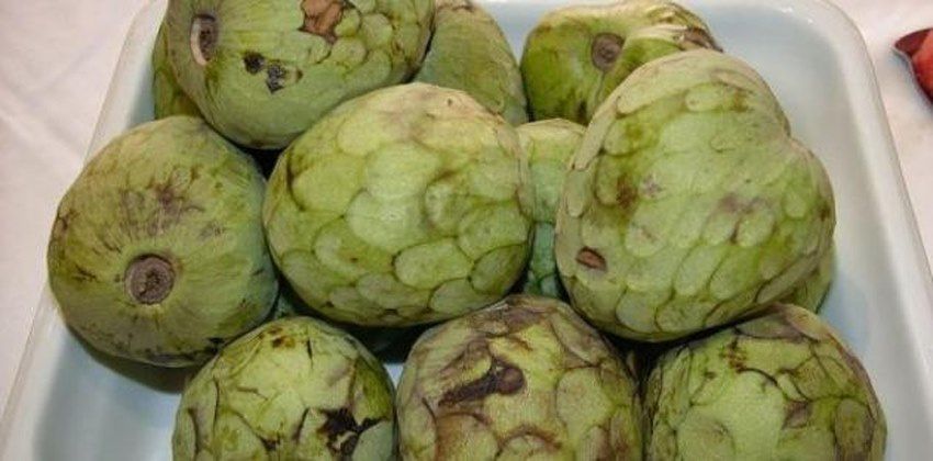 ثمرة الكمأة