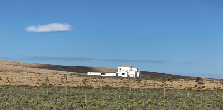 مجاعة قاتلة