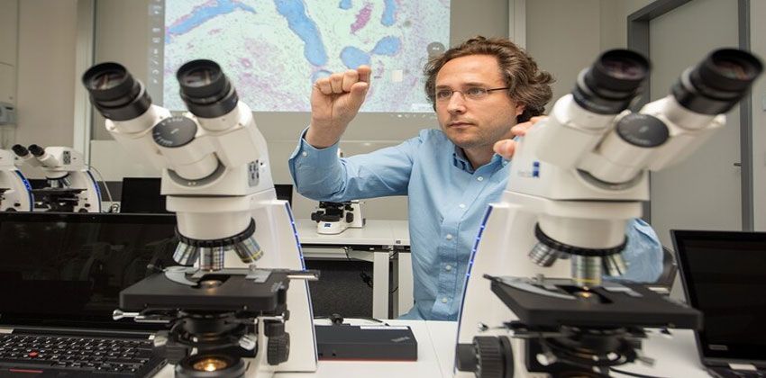 إطالة العمر