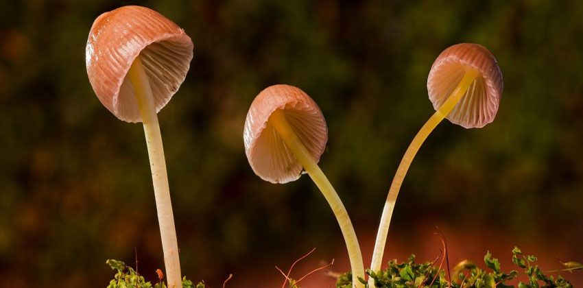 إنتاج الطاقة