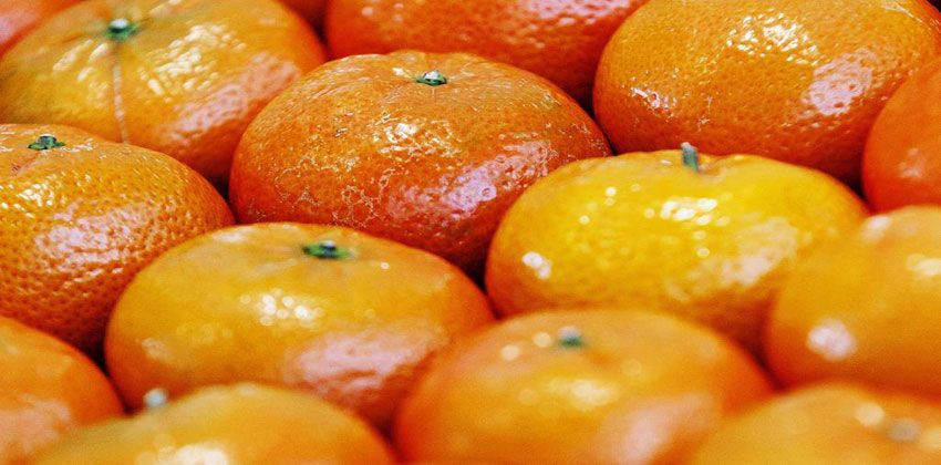 فوائد ‫اليوسفي