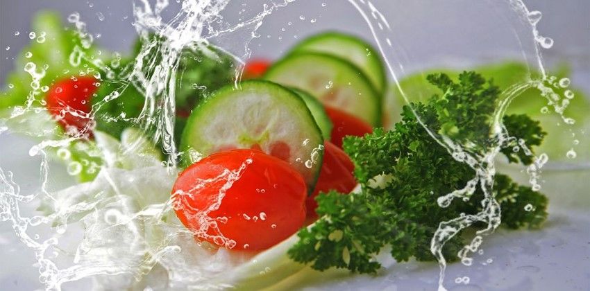 حمية الخيار