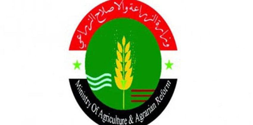 مكافحة الآفات الحشرية