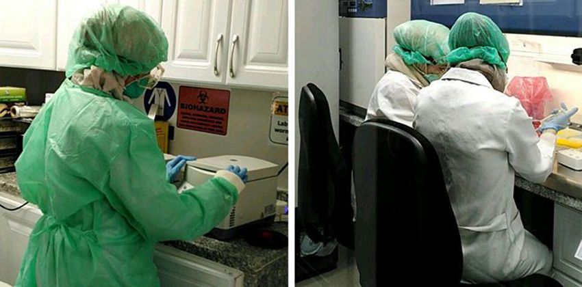 وزارة الصحة