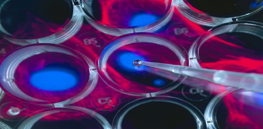 محاربة السرطان