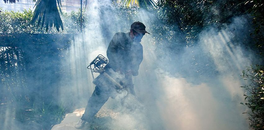 المبيدات الحشرية