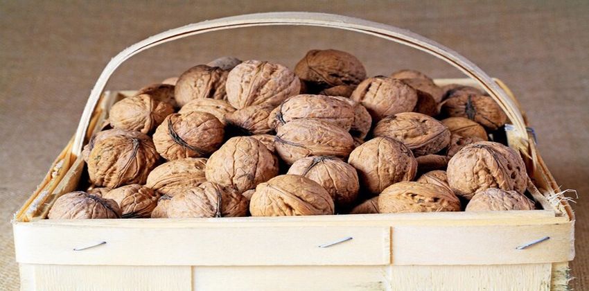 سرطان الثدي