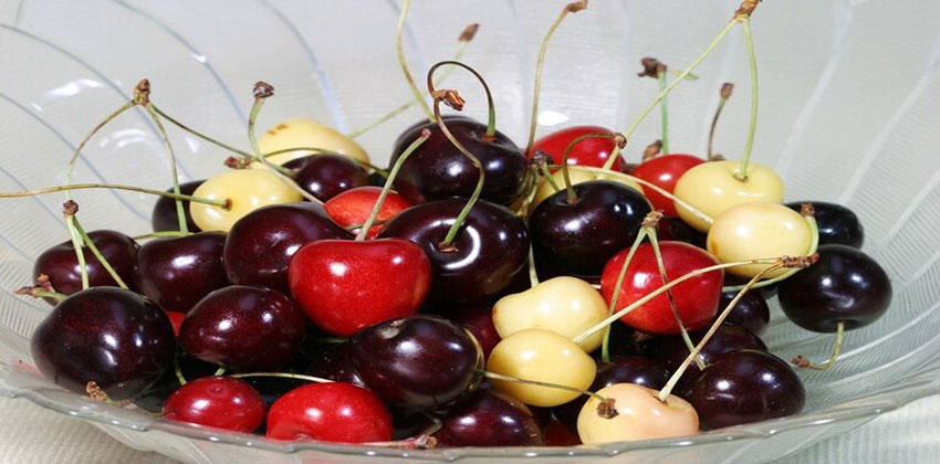 ثمار الكرز