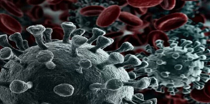 فيروس كورونا