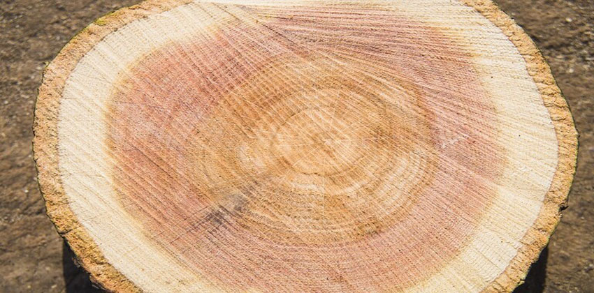 التغيرات المناخية