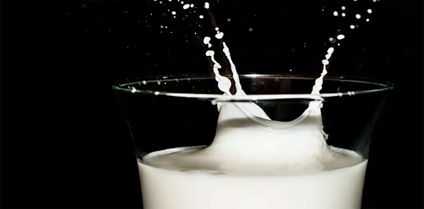 الحليب الطازج
