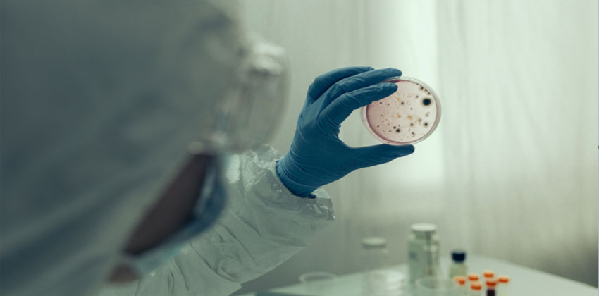 فيروس كورونا