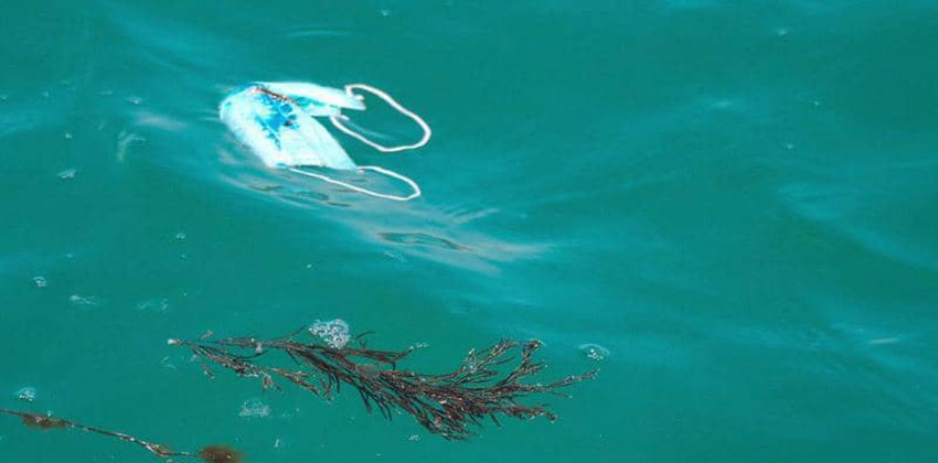 كمامة وقفاز