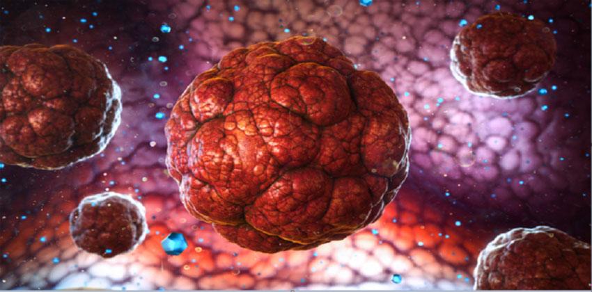 فيروس كورونا